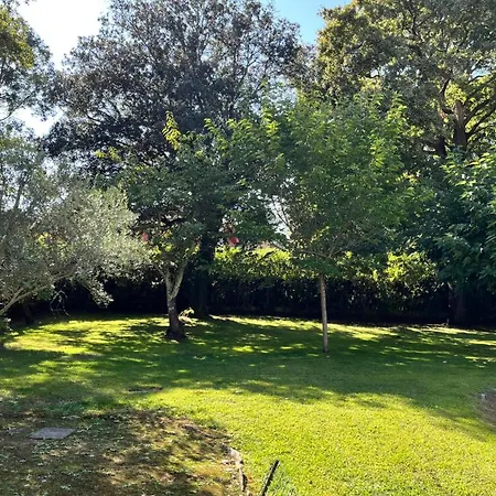 Spacious House With Pool Near The Beaches Vakantiehuis *
