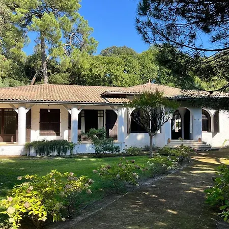Spacious House With Pool Near The Beaches